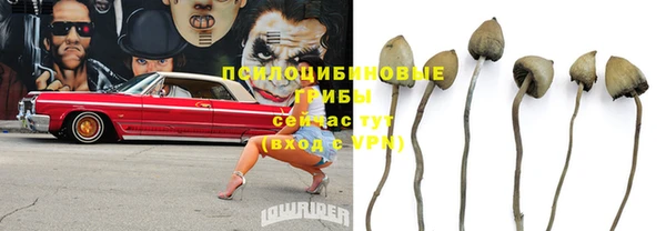 СК Алексин